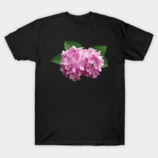 Hydrangeas - Pale Pink Hydrangea T-Shirt